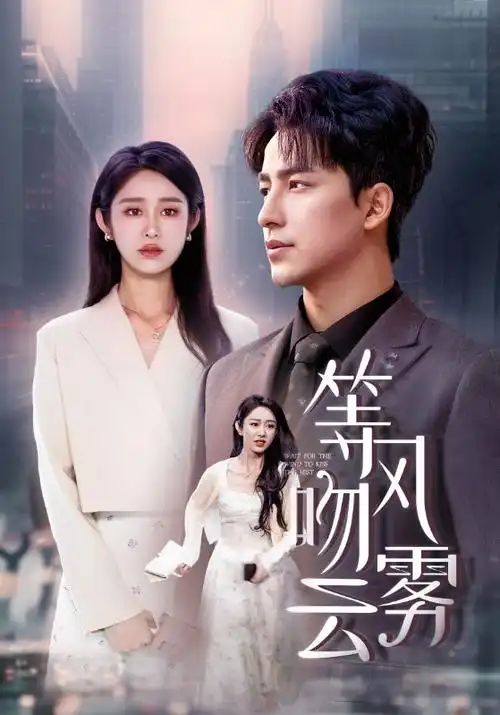总裁的隐婚妻 短剧封面